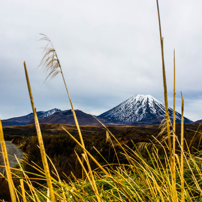 Tongariro National Park, NZ © Stephanie K. Graf