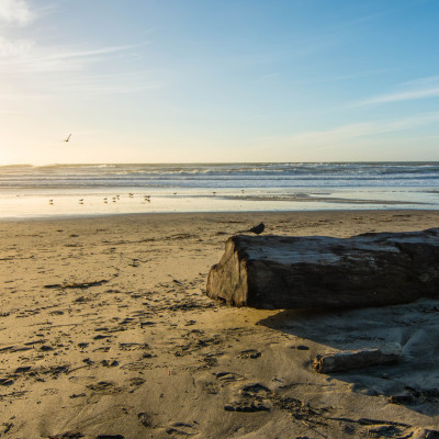 California Coast © Stephanie K. Graf