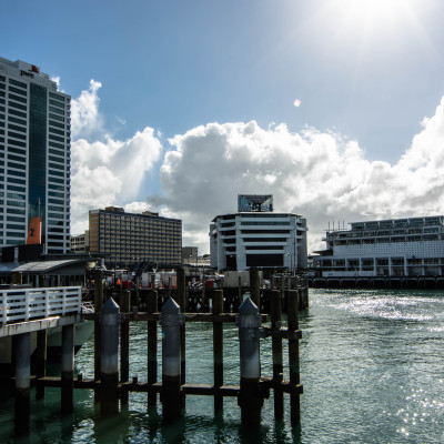 Auckland, NZ © Stephanie K. Graf