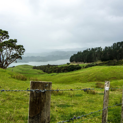 The Coromandel, NZ © Stephanie K. Graf