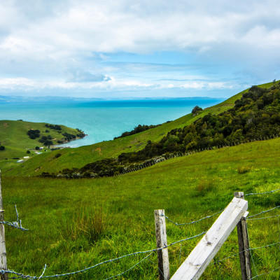 The Coromandel, NZ © Stephanie K. Graf