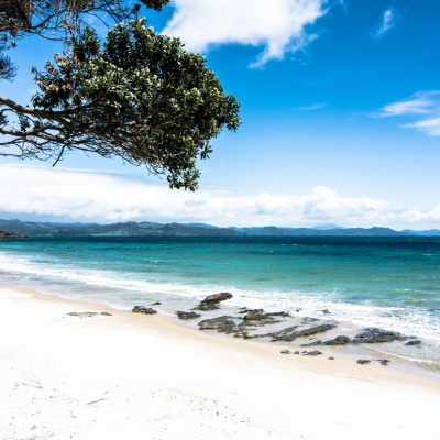 The Coromandel, NZ © Stephanie K. Graf