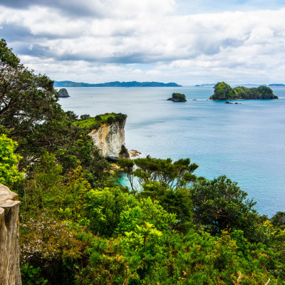 The Coromandel, NZ © Stephanie K. Graf