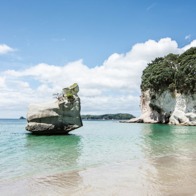 The Coromandel, NZ © Stephanie K. Graf