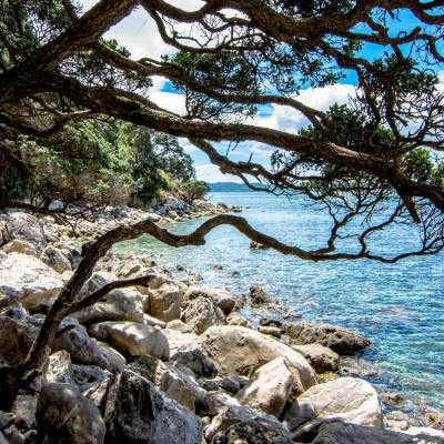 The Coromandel, NZ © Stephanie K. Graf