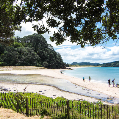 The Coromandel, NZ © Stephanie K. Graf