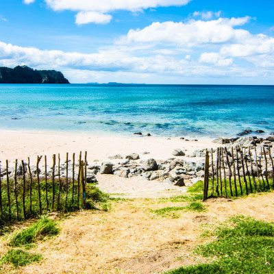 The Coromandel, NZ © Stephanie K. Graf