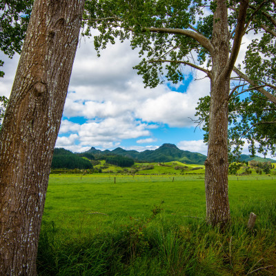 New Zealand, North Island © Stephanie K. Graf