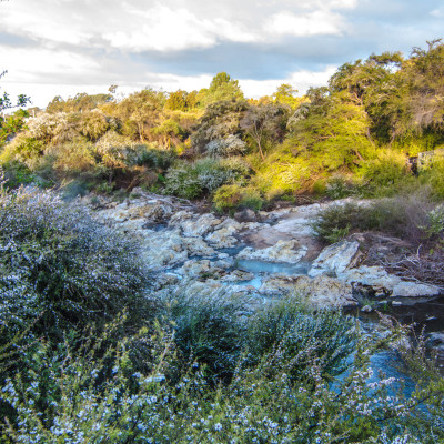 Rotorua, NZ © Stephanie K. Graf