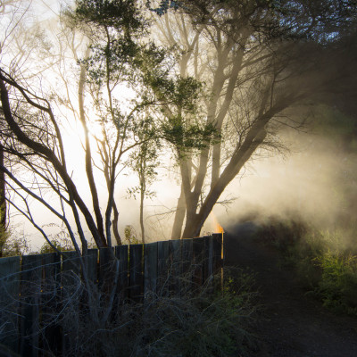 Rotorua, NZ © Stephanie K. Graf