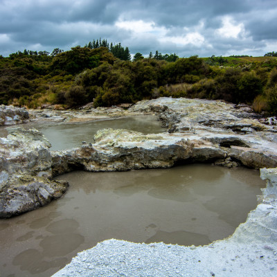 Hell's Gate, NZ © Stephanie K. Graf