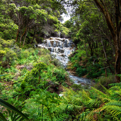 Hell's Gate, NZ © Stephanie K. Graf