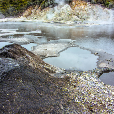 Hell's Gate, NZ © Stephanie K. Graf