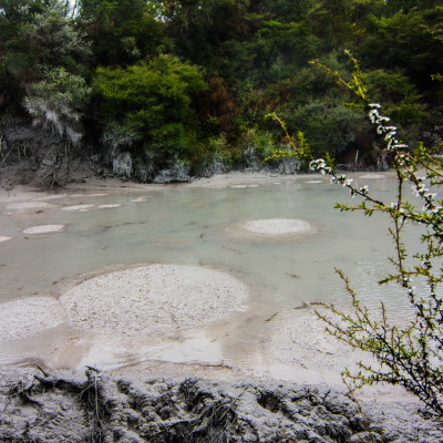 Hell's Gate, NZ © Stephanie K. Graf