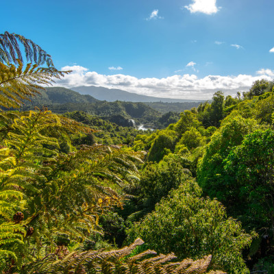 Waimangu Volcanic Valley, NZ © Stephanie K. Graf