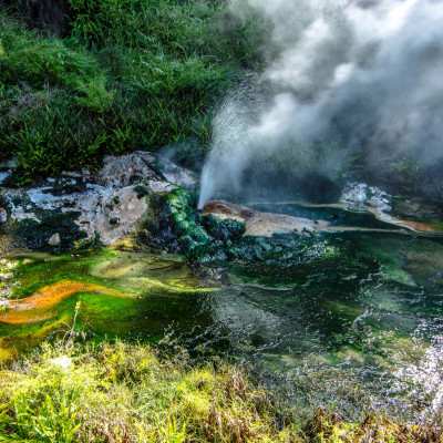Waimangu Volcanic Valley, NZ © Stephanie K. Graf