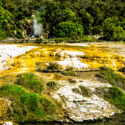 Waimangu Volcanic Valley, NZ © Stephanie K. Graf