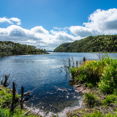 Waimangu Volcanic Valley, NZ © Stephanie K. Graf