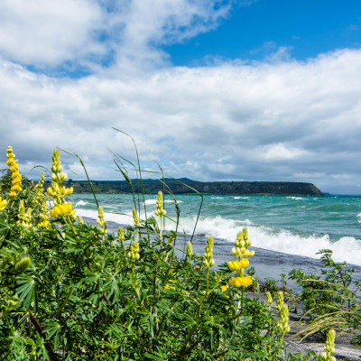 Lake Taupo, NZ © Stephanie K. Graf