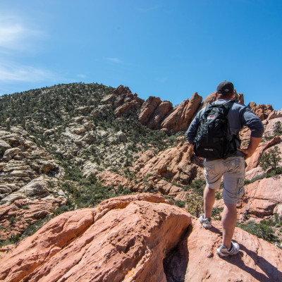 Red Rock National Park, NV © Stephanie K. Graf