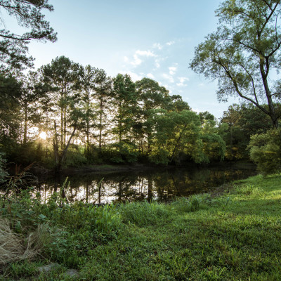 Alabama © Stephanie K. Graf