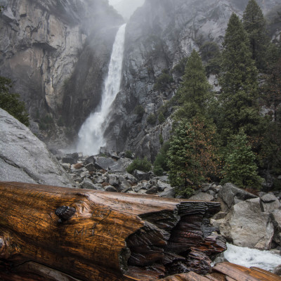 Yosemite National Park, CA © Stephanie K. Graf