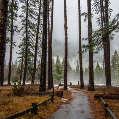 Yosemite National Park, CA © Stephanie K. Graf