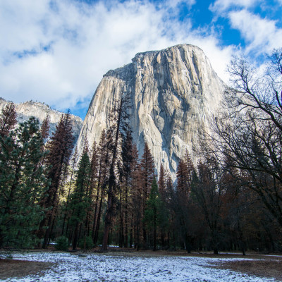 Yosemite National Park, CA © Stephanie K. Graf