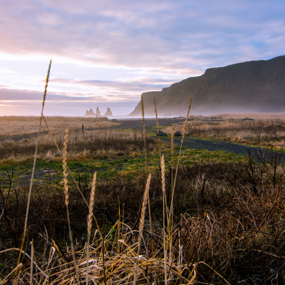 Black Sand Beach, Vík, Iceland © Stephanie K. Graf